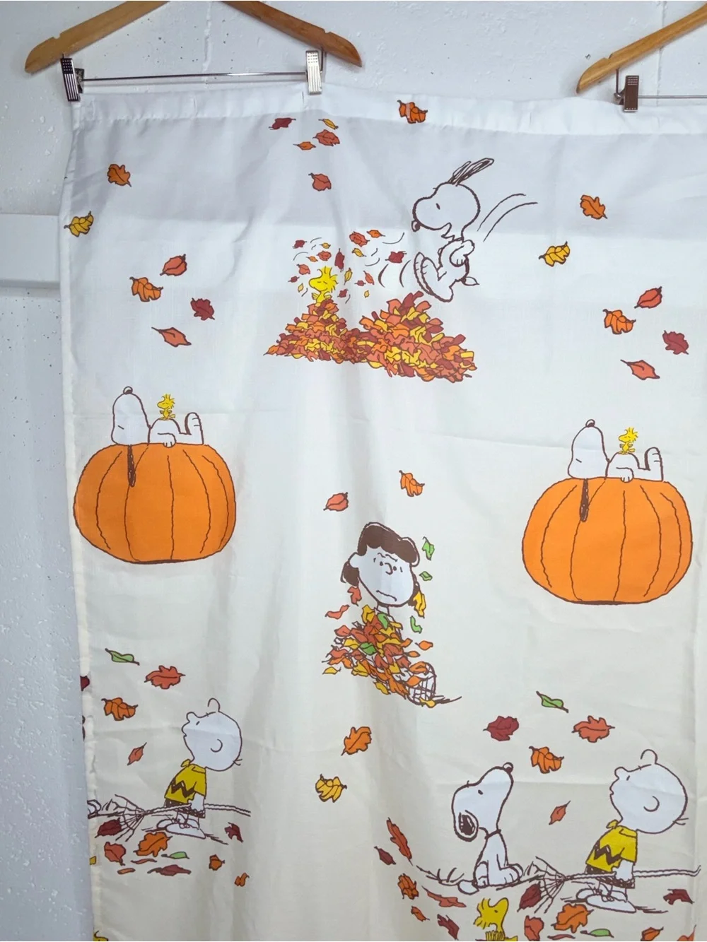Peanuts Celebrate Together Snoopy & Woodstock Halloween Fall Shower Curtain
